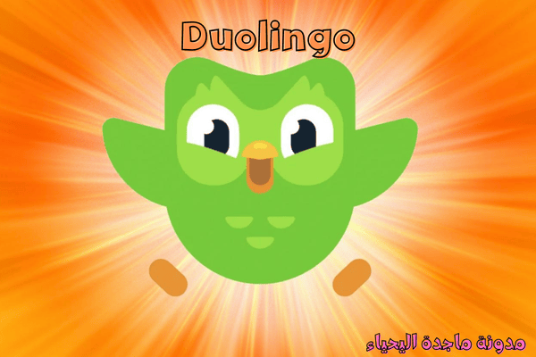 تطبيقات تعلم اللغات - Duolingo