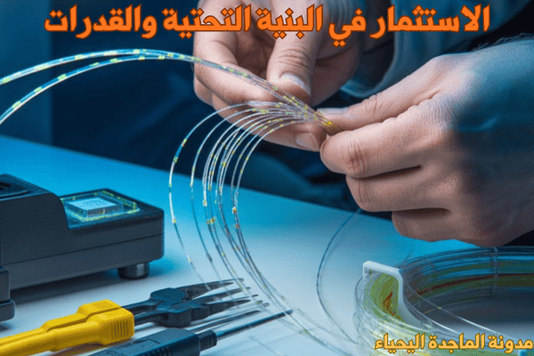 مستقبل التعليم الذكي في الجامعات - الاستثمار في البنية التحتية والقدرات